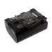 Camera Battery JVC GZ-HM670